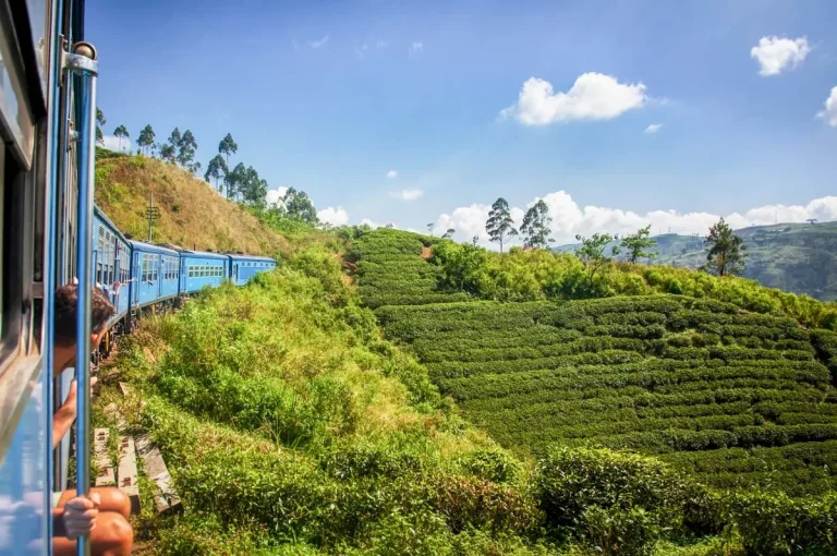 Tea plantation hills in Sri Lanka