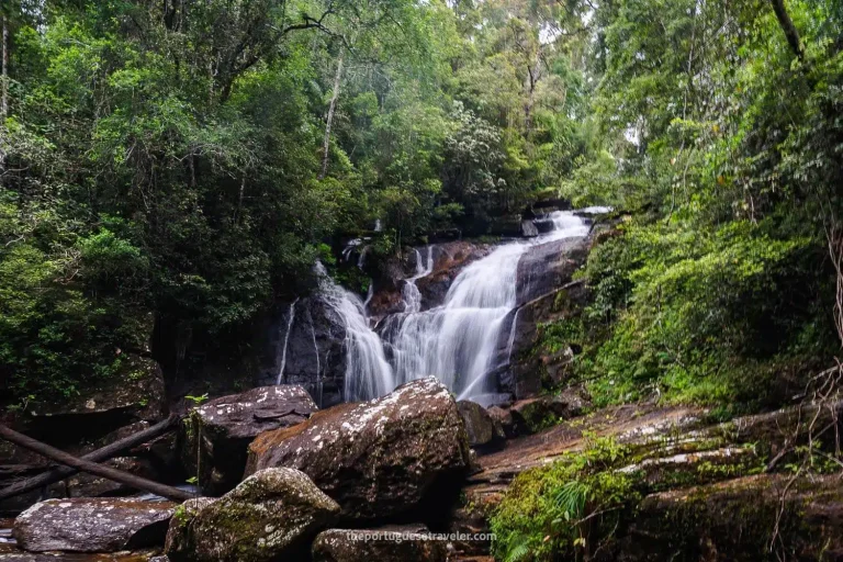 Sinharaja rainforest, Sri Lanka
