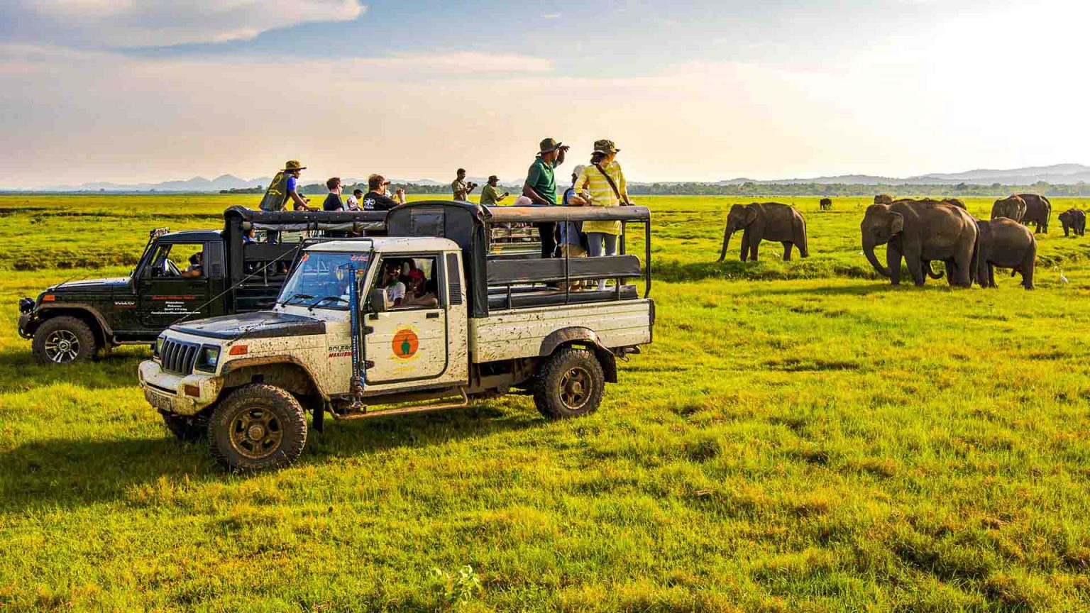 Safari jeep with visitors in grassland near Habarana, Sri Lanka