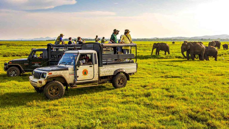 Safari jeep with visitors in grassland near Habarana, Sri Lanka