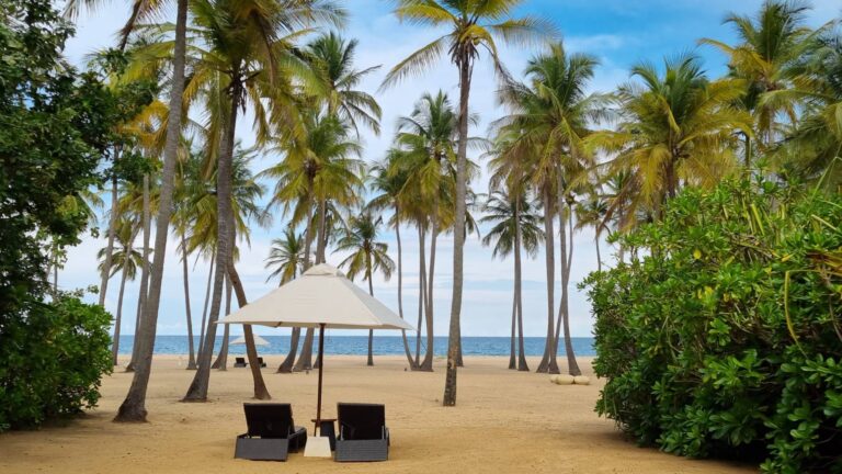 Beach loungers under palm trees, Sri Lanka