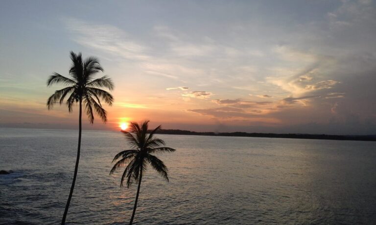 Sunset with palm trees at Galle, Sri Lanka